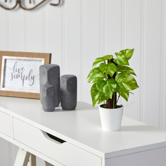 9 Pothos Artificial Plant in White Planter Real Touch - SKU #P1649 - 2