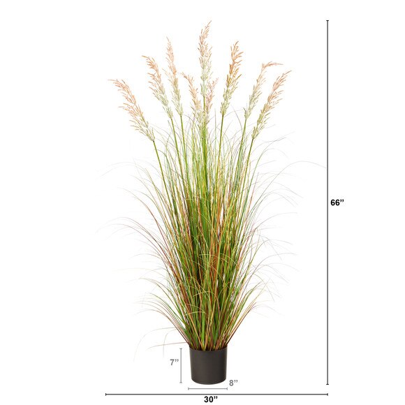 5.5 Plum Grass Artificial Plant - SKU #P1682 - 1