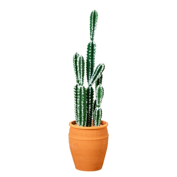 41 Artificial Cactus in Terracotta Planter - SKU #P2043