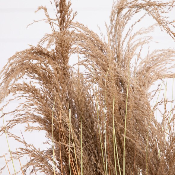 4 Artificial Pampas Grass - SKU #P2131 - 2