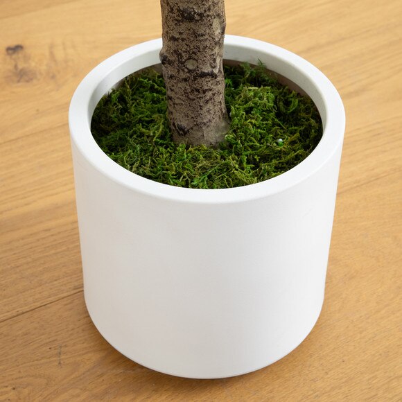 6 Artificial Jacaranda Tree in White Decorative Planter - SKU #P2164 - 5