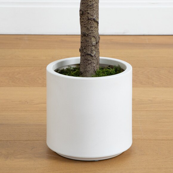 6 Artificial Jacaranda Tree in White Decorative Planter - SKU #P2164 - 9