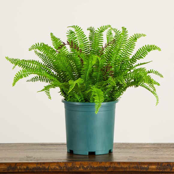 23-in UV Resistant Artificial Boston Fern Plant Indoor/Outdoor - SKU #P2174 - 5