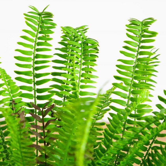 27-in UV Resistant Artificial Boston Fern Plant Indoor/Outdoor - SKU #P2175 - 2