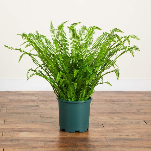 3-ft UV Resistant Artificial Boston Fern Plant Indoor/Outdoor - SKU #P2176 - 6