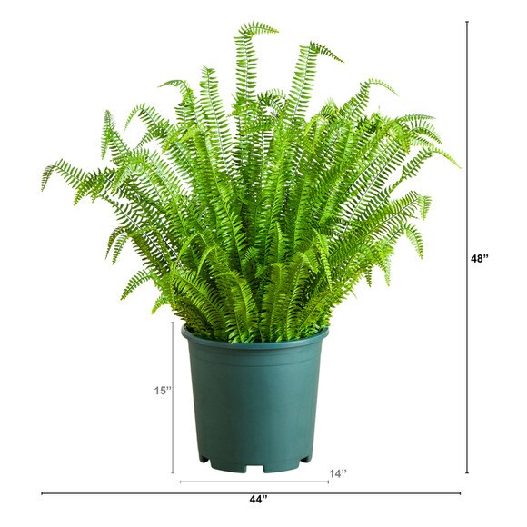 4-ft UV Resistant Artificial Boston Fern Plant Indoor/Outdoor - SKU #P2177 - 1