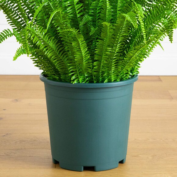 4-ft UV Resistant Artificial Boston Fern Plant Indoor/Outdoor - SKU #P2177 - 3