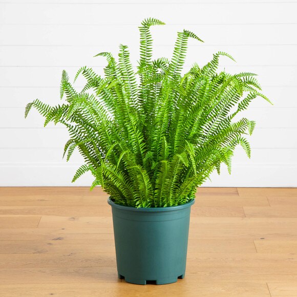 4-ft UV Resistant Artificial Boston Fern Plant Indoor/Outdoor - SKU #P2177 - 6