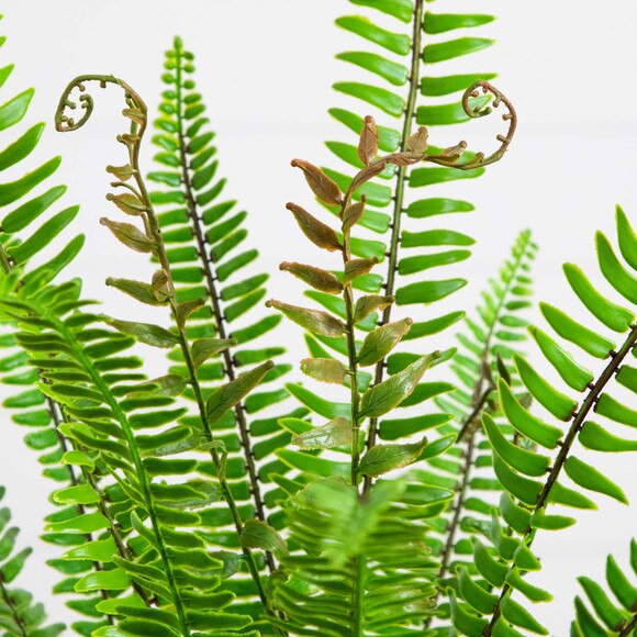 3-ft UV Resistant Artificial Boston Fern Potted Plant Indoor/Outdoor - SKU #P2179 - 2
