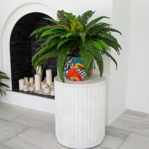 32 Artificial Double Boston Fern in Handmade Mexican Talavera Ceramic Planter - SKU #P2193 - 6