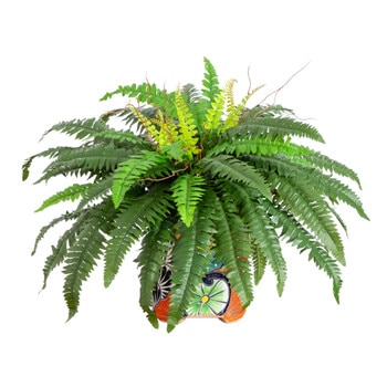 21 Artificial Boston Fern in Handmade Mexican Talavera Ceramic Planter - SKU #P2194