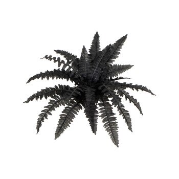 19-in Artificial Halloween Black Boston Fern - Set of 6 - SKU #P2199-S6