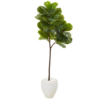 5 Fiddle Leaf Artificial Tree in White Planter Real Touch - SKU #T1142