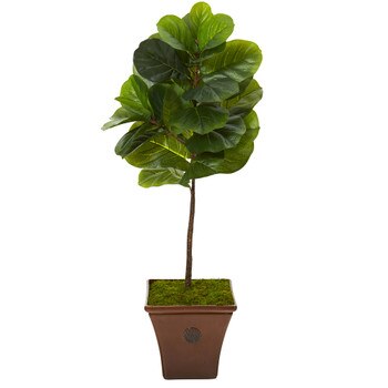 51 Fiddle Leaf Artificial Tree in Brown Planter Real Touch - SKU #T1161