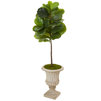 5 Fiddle Leaf Artificial Tree in Sand Finished Urn Real Touch - SKU #T1167