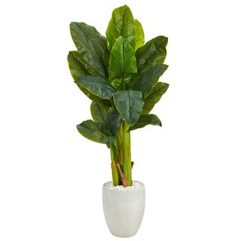 52 Triple Stalk Artificial Banana Tree in White Planter Real Touch - SKU #T1359