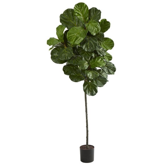 6.5 Fiddle Leaf Artificial Tree - SKU #T1402