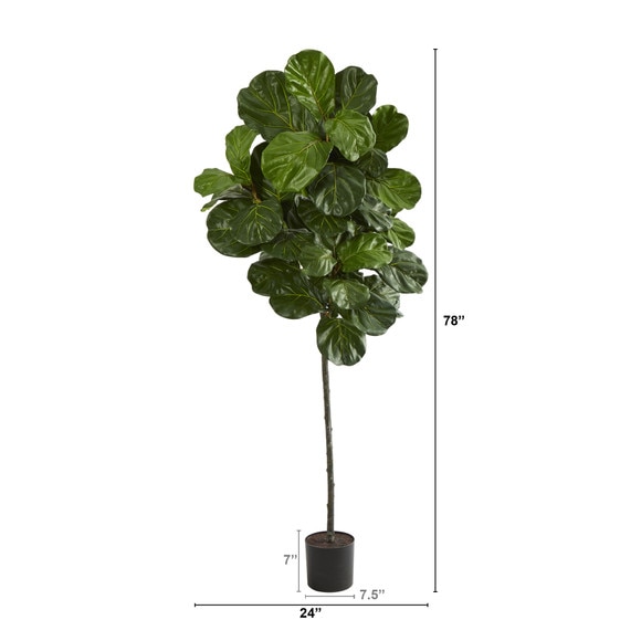 6.5 Fiddle Leaf Artificial Tree - SKU #T1402 - 1