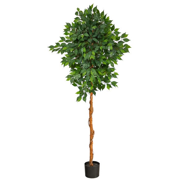 6 Ficus Artificial Tree - SKU #T1441
