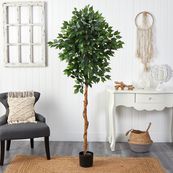 6 Ficus Artificial Tree - SKU #T1441 - 2