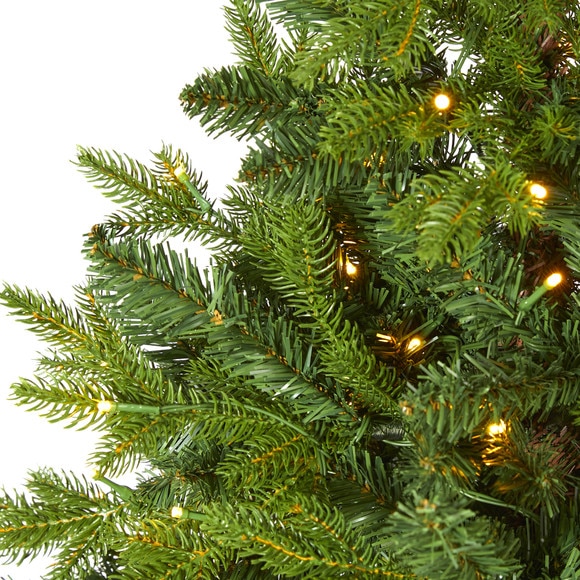 5 Fraser Fir Natural Look Artificial Christmas Tree with 190 Clear LED Lights a Burlap Base and 1217 Bendable Branches - SKU #T1991 - 2