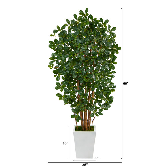 5.5 Black Olive Artificial Tree with 1365 Bendable Leaves in Metal White Planter - SKU #T2214 - 1