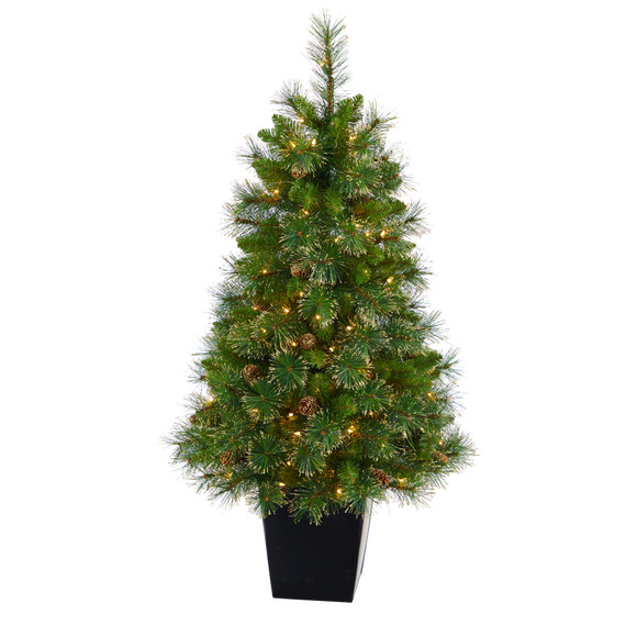 50 Golden Tip Washington Pine Artificial Christmas Tree with 100 Clear Lights Pine Cones and 336 Bendable Branches in Black Metal Planter - SKU #T2292