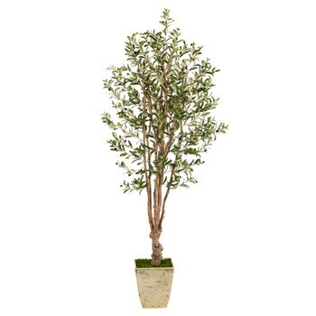 6.5 Olive Artificial Tree in Country White Planter - SKU #T2453