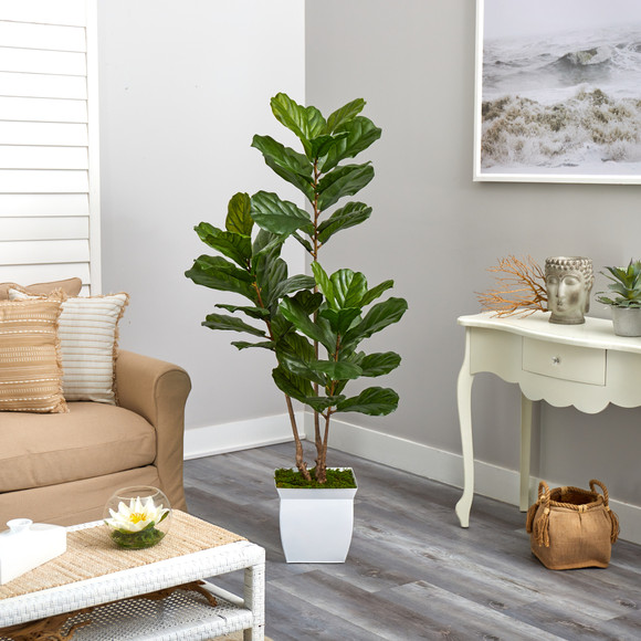 5.5 Fiddle Leaf Artificial Tree in White Metal Planter UV Resistant Indoor/Outdoor - SKU #T2487 - 3