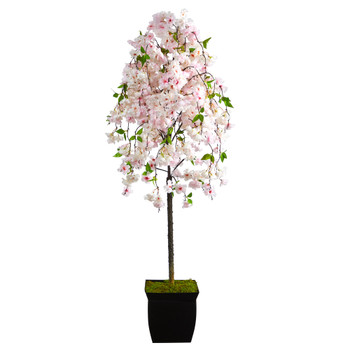 70 Cherry Blossom Artificial Tree in Black Metal Planter - SKU #T2589
