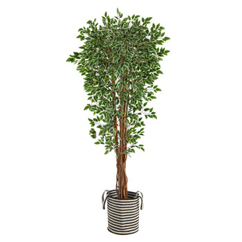 70 Variegated Ficus Tree in Handmade Black and White Natural Jute and Cotton Planter UV Resistant - SKU #T2974