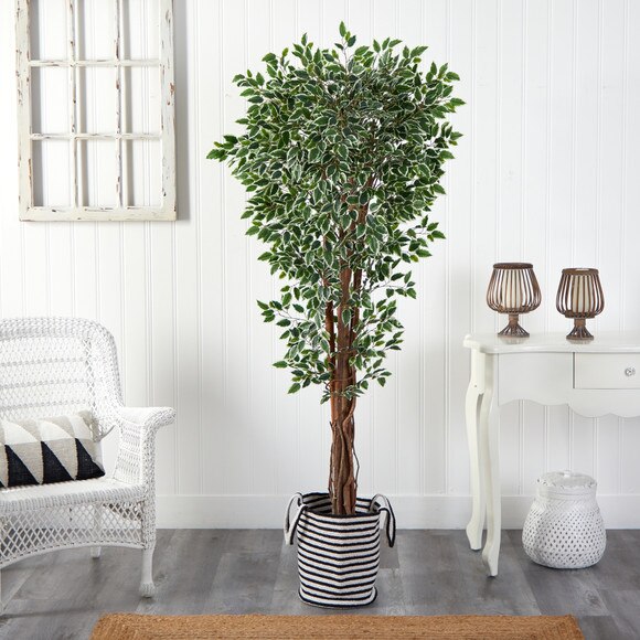 70 Variegated Ficus Tree in Handmade Black and White Natural Jute and Cotton Planter UV Resistant - SKU #T2974 - 2