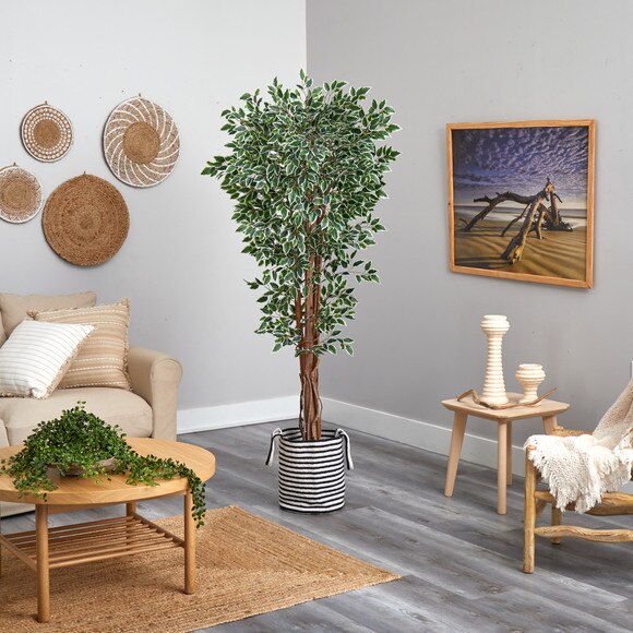 70 Variegated Ficus Tree in Handmade Black and White Natural Jute and Cotton Planter UV Resistant - SKU #T2974 - 3
