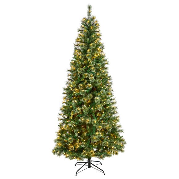8 Wisconsin Slim Snow Tip Pine Christmas Tree with 600 Clear LED Lights and 908 Bendable Branches - SKU #T3050