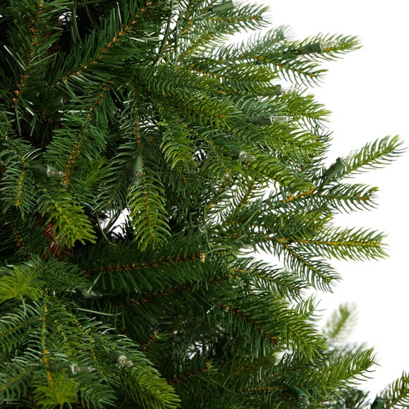 5 North Carolina Spruce Artificial Christmas Tree with 200 Clear Lights and 375 Bendable Branches - SKU #T3342 - 4