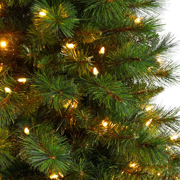 5 Slim West Virginia Mountain Pine Christmas Tree with 200 Clear Lights and 467 Bendable Branches - SKU #T3353 - 3