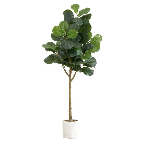 6 Artificial Fiddle Leaf Fig Tree with White Decorative Planter - SKU #T4554