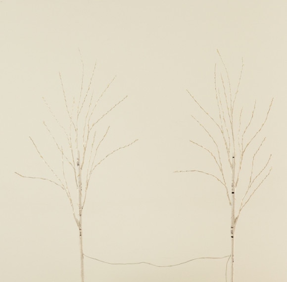 2.5 Pre-Lit Artificial White Birch Branches with Warm White 100 Micro LED Lights - Set of 2 - SKU #T4563 - 6