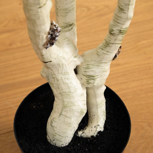 6 Artificial Birch Tree with Real Touch Leaves - SKU #T4666 - 8