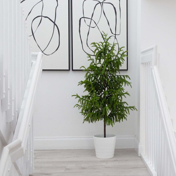 4 Artificial Norfolk Pine Tree - SKU #T4708 - 5