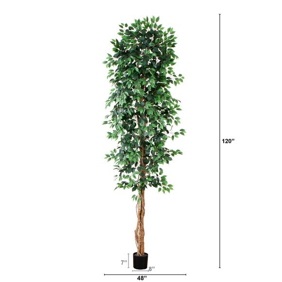 10 Artificial Ficus Tree with Natural Trunk - SKU #T4766 - 1