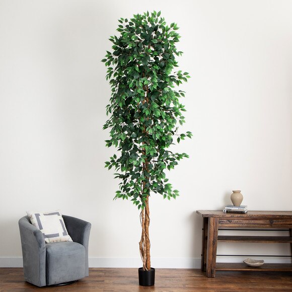 10 Artificial Ficus Tree with Natural Trunk - SKU #T4766 - 5