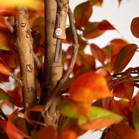 10 Autumn Ficus Artificial Fall Tree - SKU #T4769 - 2