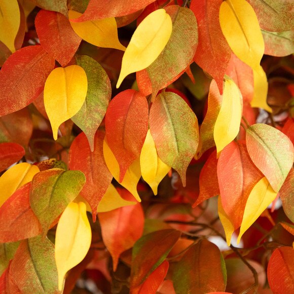 10 Autumn Ficus Artificial Fall Tree - SKU #T4769 - 3