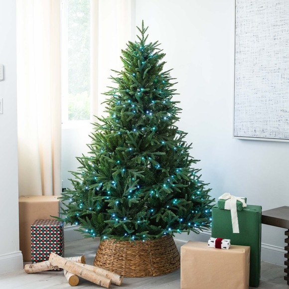 6 Pre-Lit Artificial Edmonton Fir Light Show Memory Shape Christmas Tree with Instant Connect Technology and 300 Color Changing LED Lights - SKU #T4785 - 10