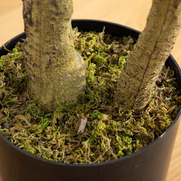 6 Artificial Black Olive Tree - SKU #T4835 - 4