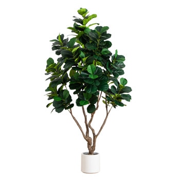 8 Artificial Grand Fiddle Leaf Tree in White Decorative Planter - SKU #T4946