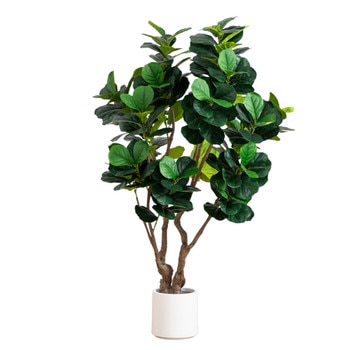 6 Artificial Grand Fiddle Leaf Tree in White Decorative Planter - SKU #T4963