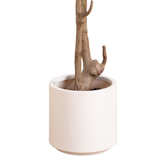 7 Artificial Minimalist Olive Tree in White Decorative Planter - SKU #T4966 - 5