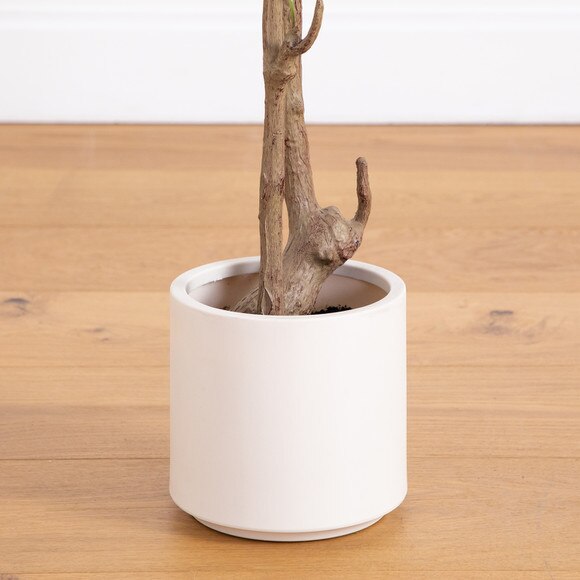 7 Artificial Minimalist Olive Tree in White Decorative Planter - SKU #T4966 - 10